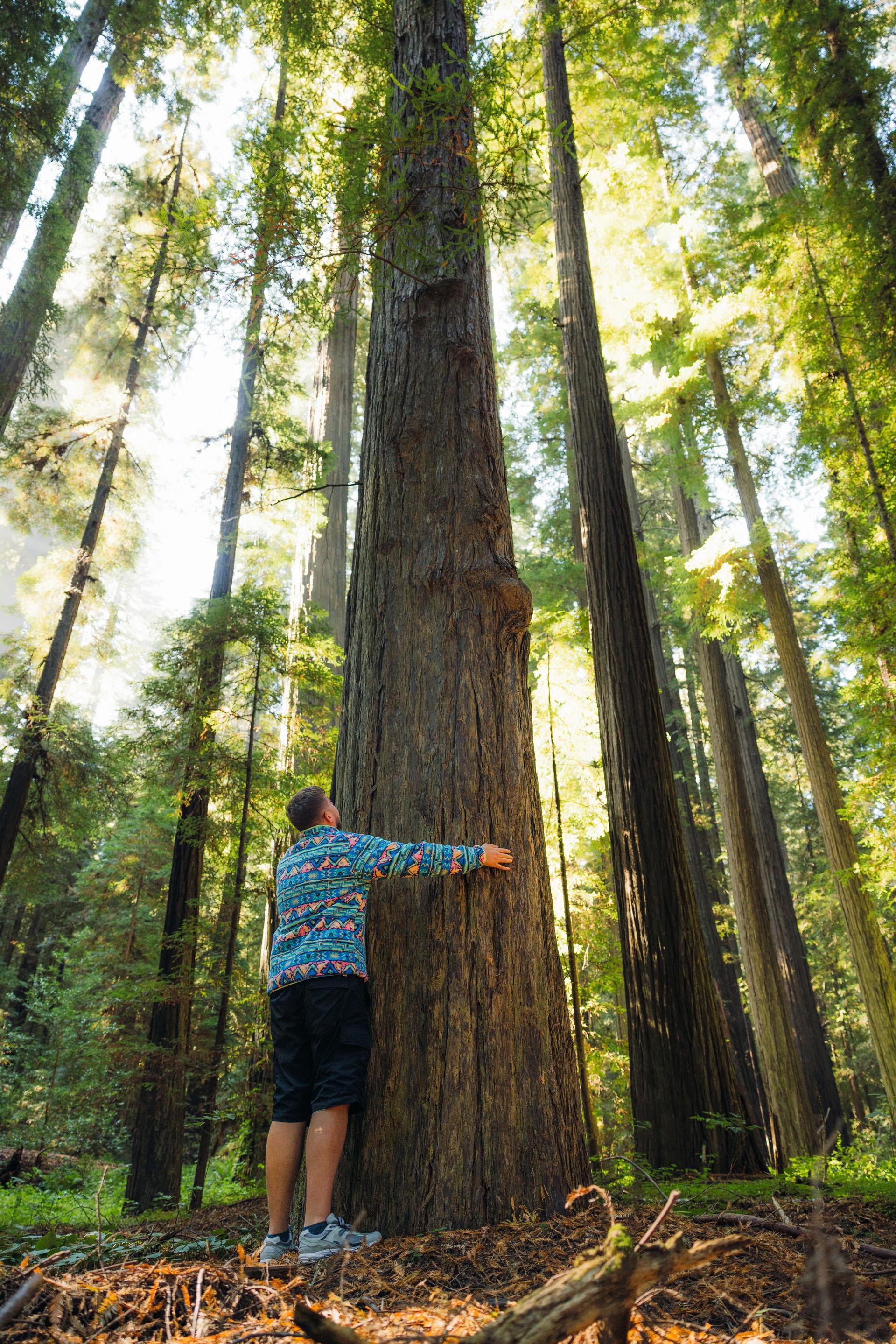 In Harmony With Mother Nature