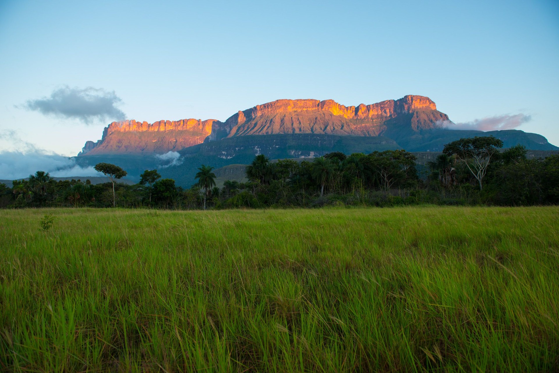 Auyantepuy bathed in orange sunlight from sunset over green Savannah
